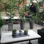 Dalmati House 3*