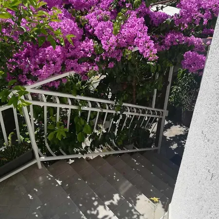 Casa de hóspedes Dalmati House