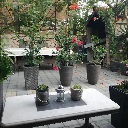 Dalmati House 3*