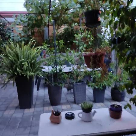 Pensjonat Dalmati House Brodarica (Sibenik-Knin)