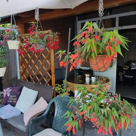 Dalmati House 3*