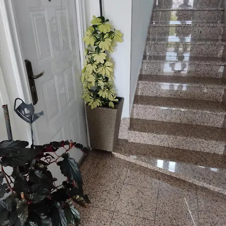 Dalmati House 3*
