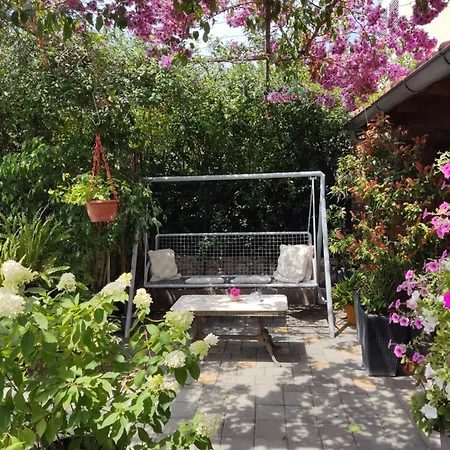 Dalmati House 3*
