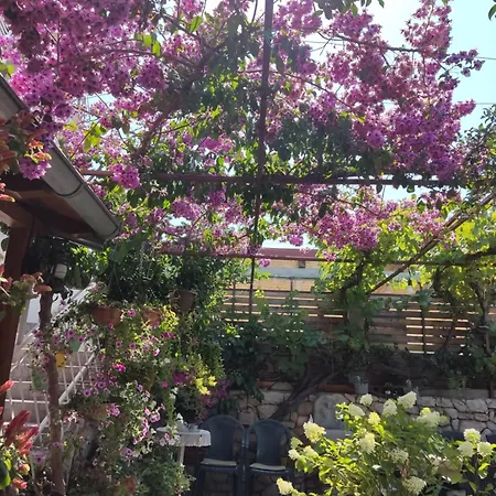 Penzion Dalmati House Brodarica (Sibenik-Knin)