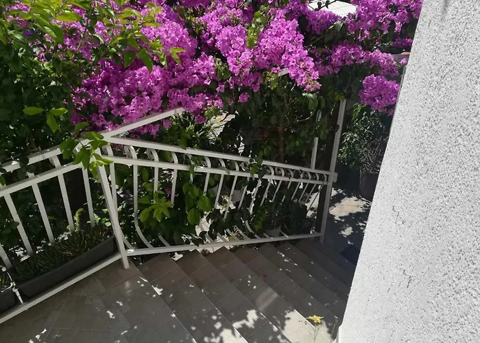 Guest house Dalmati House