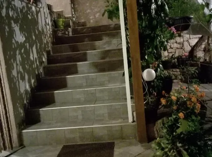 Guest house Dalmati House 3*