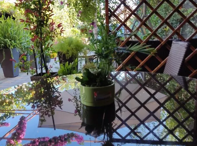 Guest house Dalmati House