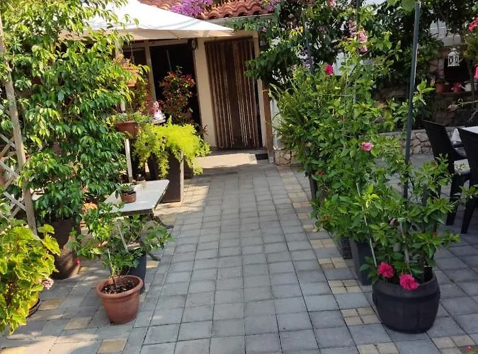 게스트하우스 Dalmati House