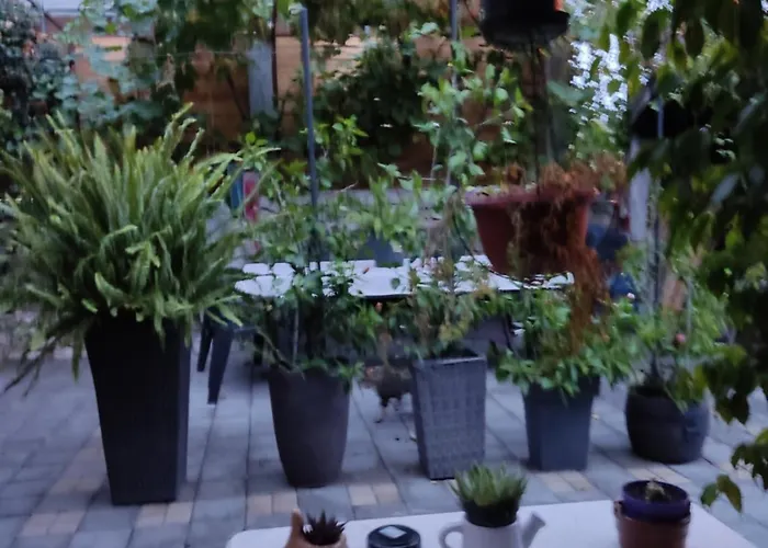 Guest house Dalmati House Brodarica (Sibenik-Knin)