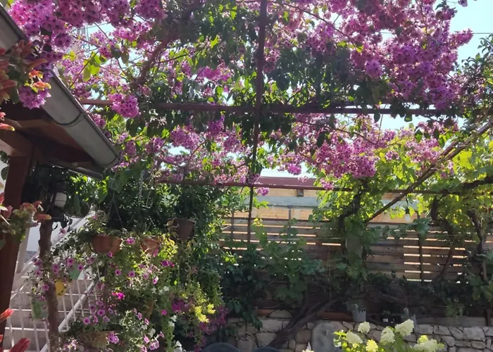 Guest house Dalmati House Brodarica (Sibenik-Knin)